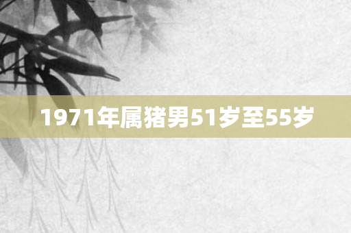 1971年属猪男51岁至55岁