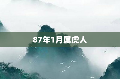 87年1月属虎人