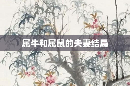 属牛和属鼠的夫妻结局