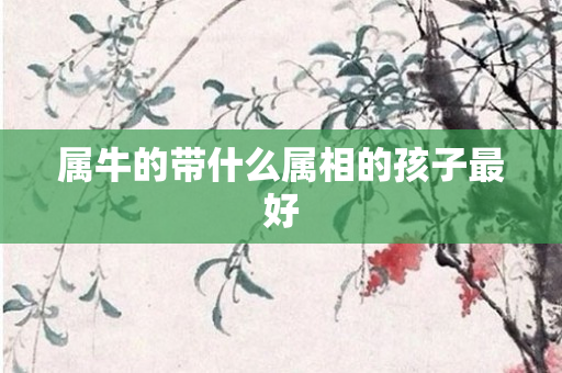 属牛的带什么属相的孩子更好