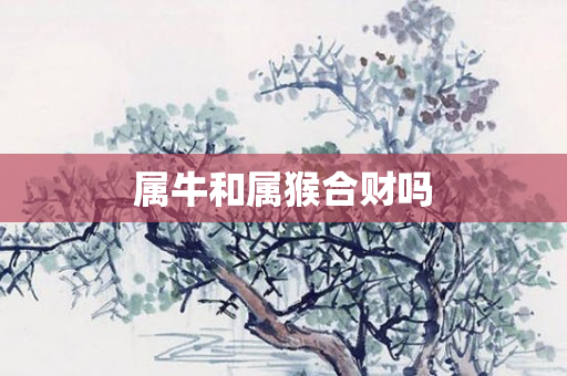 属牛和属猴合财吗