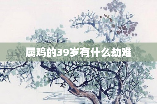 属鸡的39岁有什么劫难