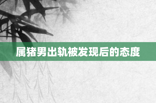 属猪男出轨被发现后的态度