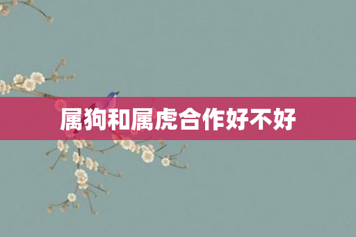 属狗和属虎合作好不好