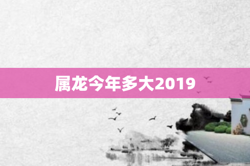 属龙今年多大2019