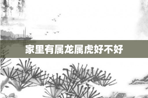 家里有属龙属虎好不好