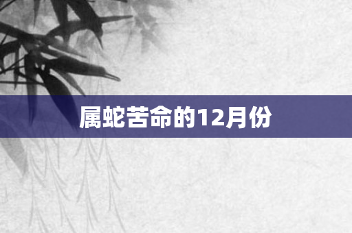 属蛇苦命的12月份