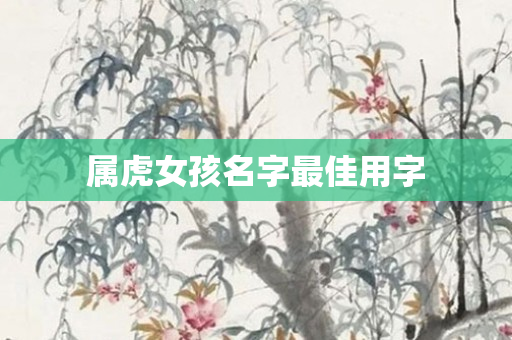 属虎女孩名字更佳用字