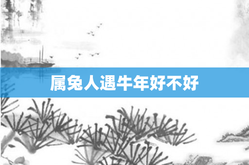 属兔人遇牛年好不好