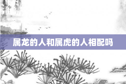 属龙的人和属虎的人相配吗