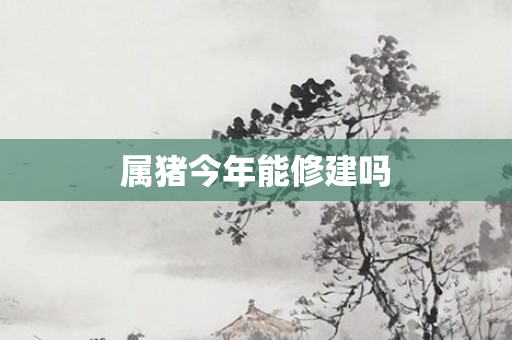 属猪今年能修建吗