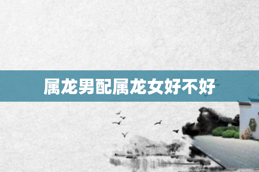 属龙男配属龙女好不好