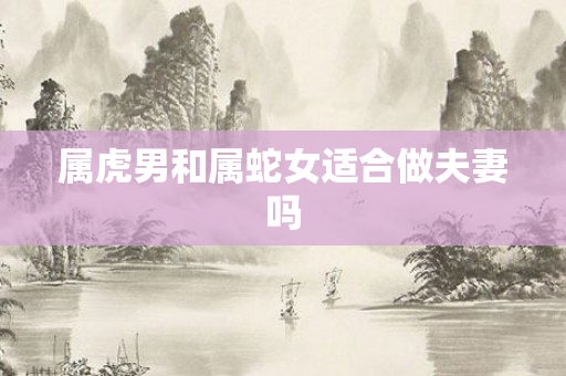属虎男和属蛇女适合做夫妻吗