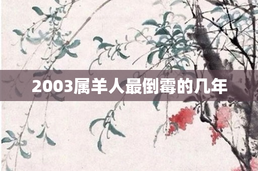 2003属羊人最倒霉的几年