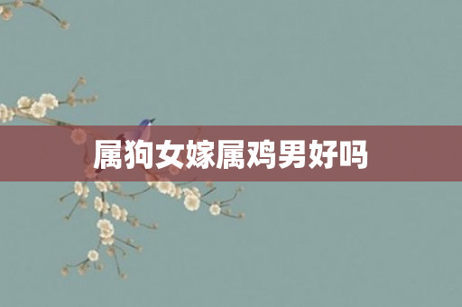 属狗女嫁属鸡男好吗