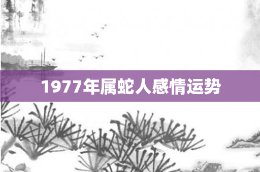 1977年属蛇人感情运势