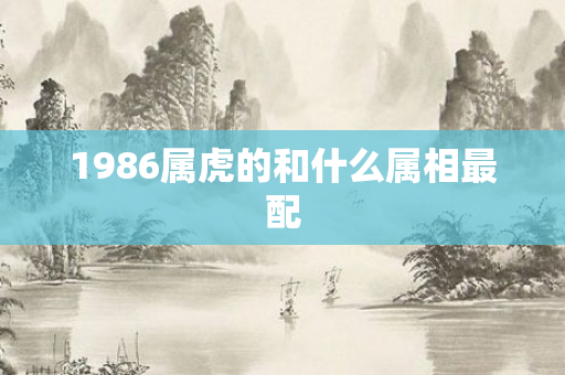 1986属虎的和什么属相最配