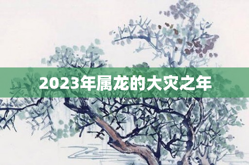 2023年属龙的大灾之年