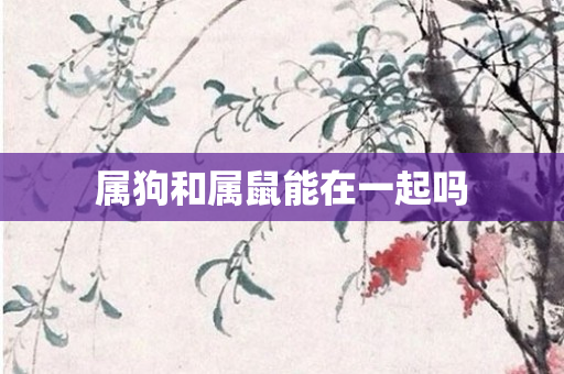 属狗和属鼠能在一起吗
