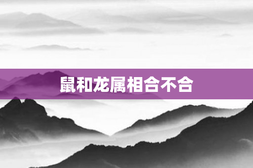鼠和龙属相合不合