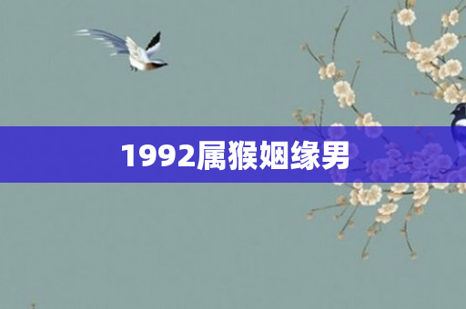 1992属猴姻缘男