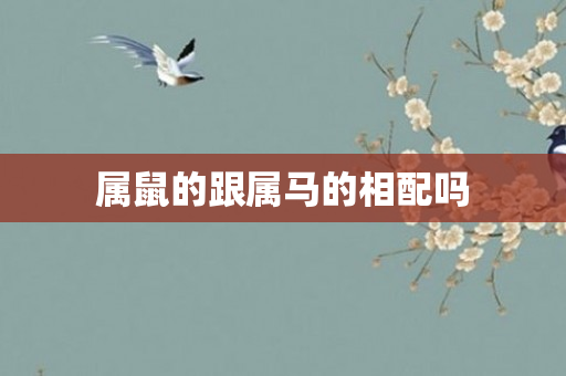 属鼠的跟属马的相配吗