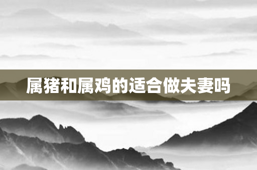 属猪和属鸡的适合做夫妻吗
