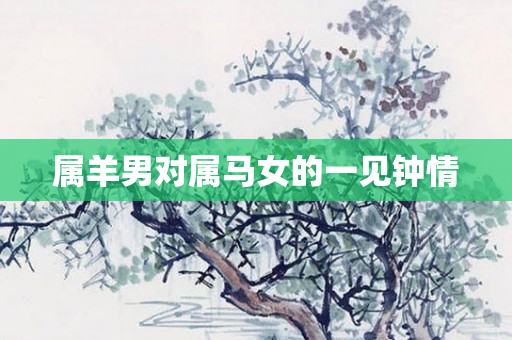 属羊男对属马女的一见钟情