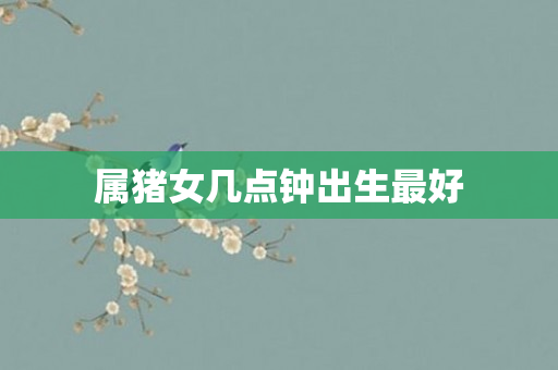属猪女几点钟出生更好