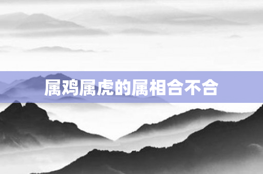 属鸡属虎的属相合不合
