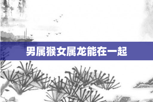男属猴女属龙能在一起