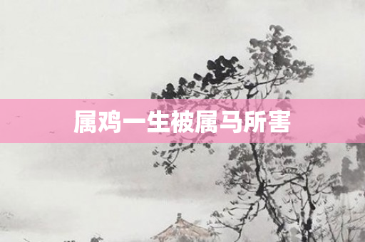 属鸡一生被属马所害