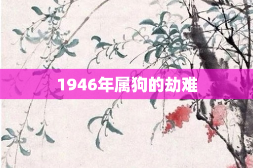 1946年属狗的劫难