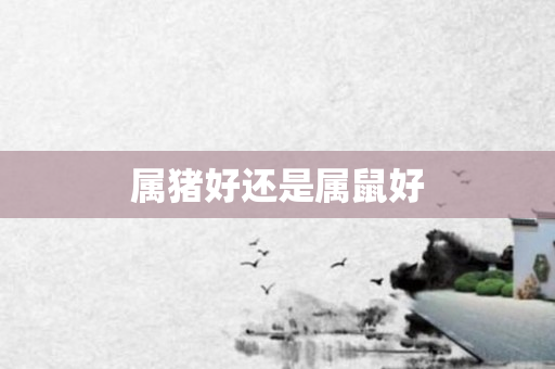 属猪好还是属鼠好