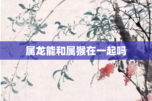 属龙能和属猴在一起吗