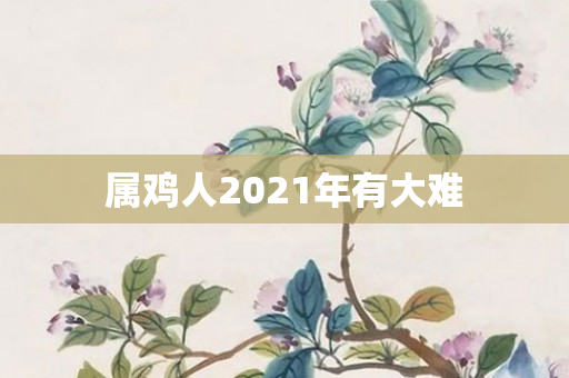 属鸡人2021年有大难