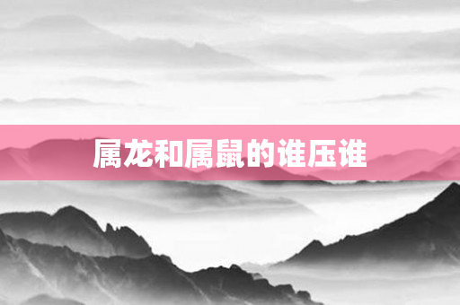 属龙和属鼠的谁压谁