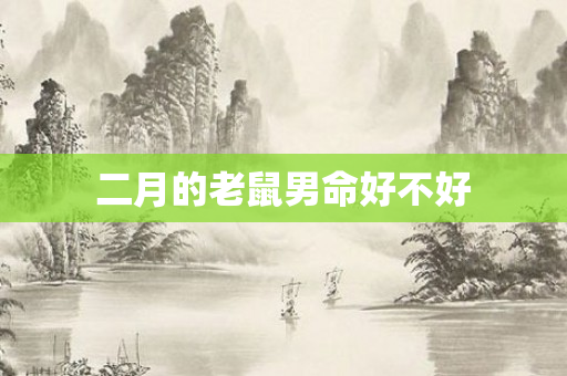 二月的老鼠男命好不好