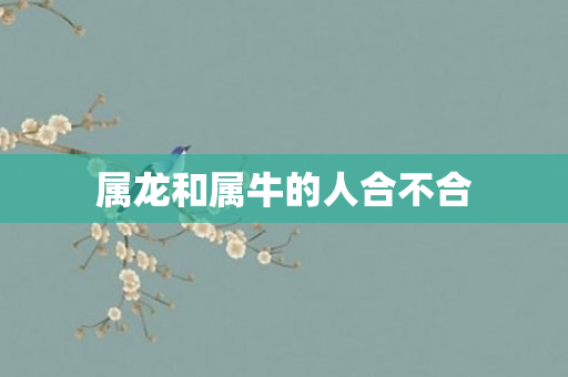 属龙和属牛的人合不合
