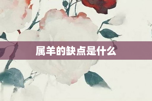 属羊的缺点是什么