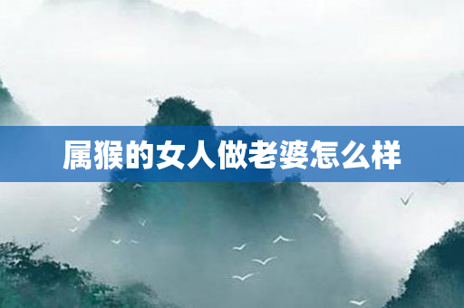 属猴的女人做老婆怎么样