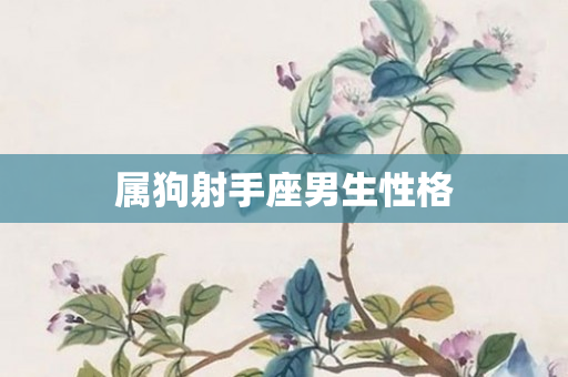 属狗射手座男生性格