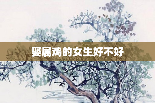 娶属鸡的女生好不好