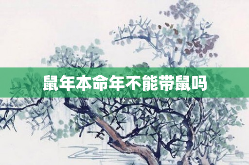 鼠年本命年不能带鼠吗