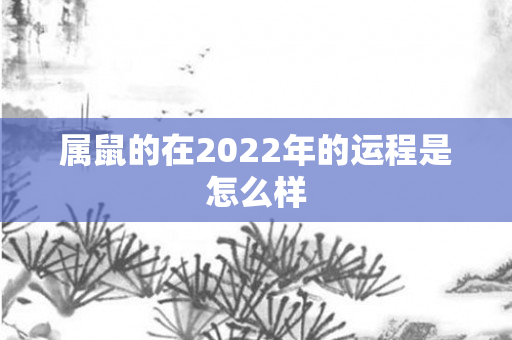属鼠的在2022年的运程是怎么样
