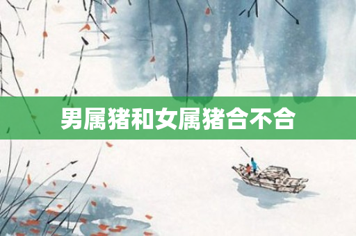 男属猪和女属猪合不合