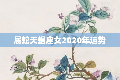 属蛇天蝎座女2020年运势