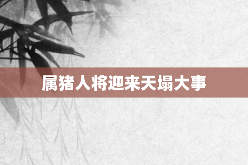 属猪人将迎来天塌大事