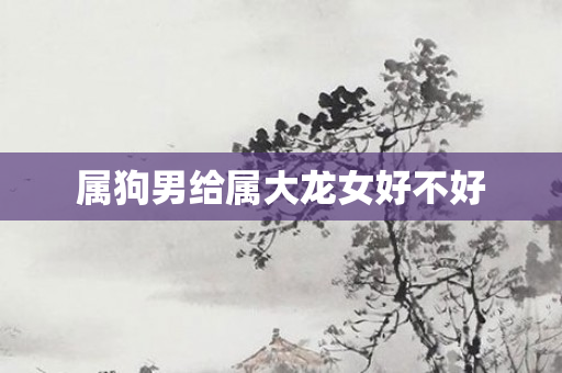 属狗男给属大龙女好不好
