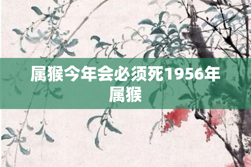属猴今年会必须死1956年属猴